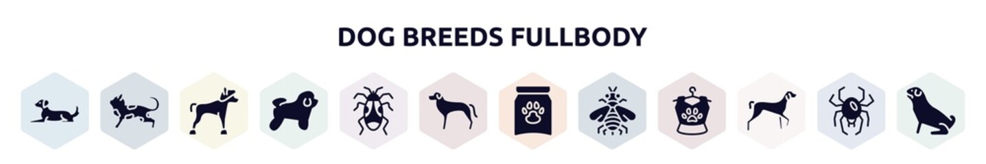 dog breeds fullbody filled icons set. glyph icons such as dog lying, toyger cat, chinese crested, bichon frise, pyrrhocoridae, rottweiler, treat, bumblebee, kurzhaar icon.