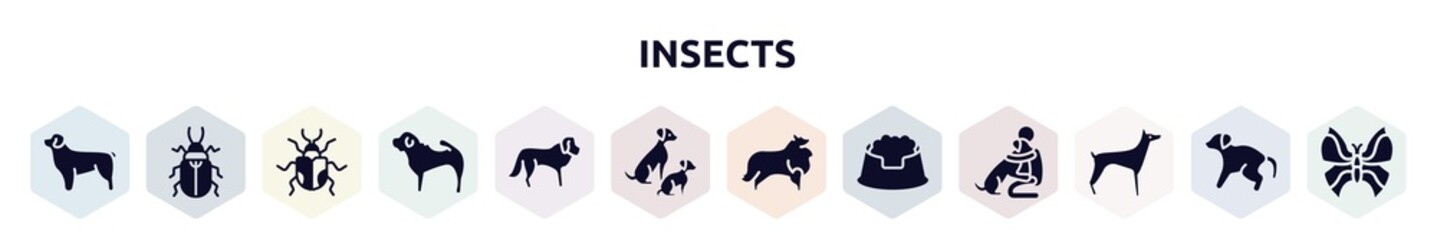 insects filled icons set. glyph icons such as newfoundland, pollen beetle, chrysomela, shar pei, st bernard, dog and doggie, sheltie, pet dish, doberman icon.