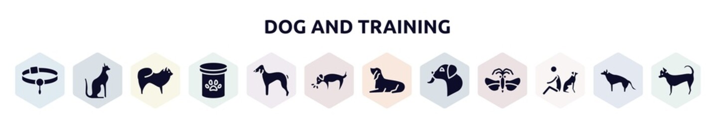 dog and training filled icons set. glyph icons such as pet collar, egyptian cat, chow chow, pet food, bedlington terrier, dog smelling dog, bas houd, licking, and man seating icon.