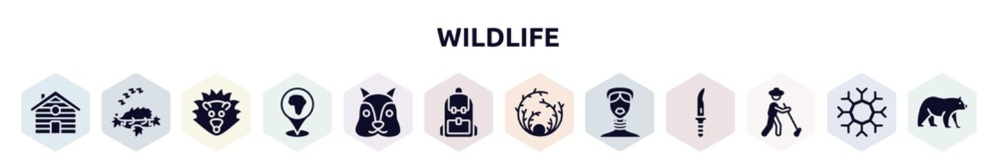 wildlife filled icons set. glyph icons such as cabin, hibernation, hedgehog, location pin, squirrel, backpack, tumbleweed, african, gardener icon.