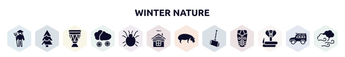 winter nature filled icons set. glyph icons such as zoo keeper, pine, drum, snowing, mite, chimney, hippo, shovel, cobra icon.