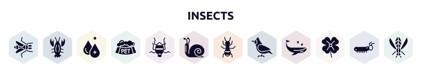 insects filled icons set. glyph icons such as gadfly, lobster, hydrotherapy, pet bowl, bedbug, snail, ant, cardinal, clover icon.
