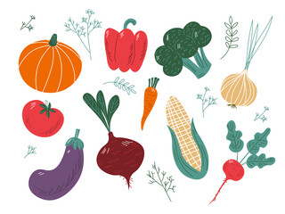 big set of colorful hand drawn fresh delicious vegetables isolated on white background. Flat cartoon vector illustration. EPS