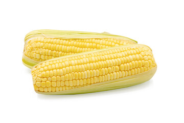 Corn isolated on white background with clipping path