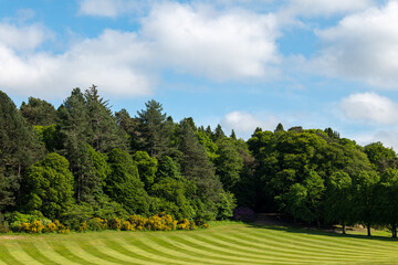 6 June 2022. Grant Park, Forres, Moray, Scotland. This is the very green Grant Park in Forres on a...