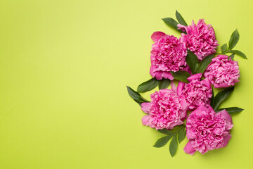 Fototapeta na wymiar Beautiful peony flowers on color background, top view