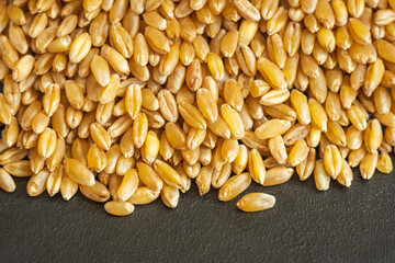 wheat grain texture background closeup