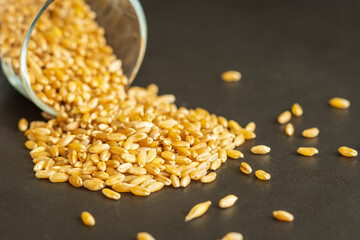 wheat grain spilled out of the glass closeup