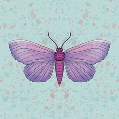 Mariposa color violeta y rosado con fondo verde agua salpicado. Insecto volador simétrico decorativo.