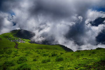 View of a mountain (high plateau) village named Gito, forest trees, glass field and fog. The image is captured in Rize area of Black Sea region located at northeast of Turkey.