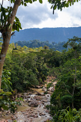 Distant view of an Amazon river and the lush mountains in the Peruvian jungle in the background.