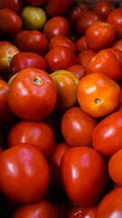 tomatoes on the market