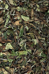 Chinese green leaf tea. Dried tea leaves background, top view