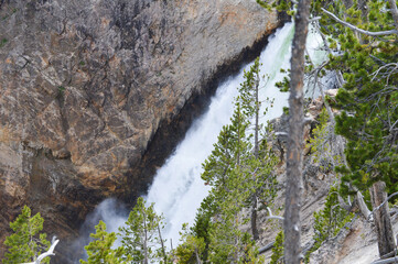 Waterfall at Yellowstone National Park