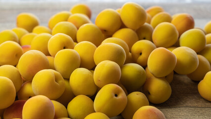 テーブルに置かれたたくさんの自家製梅干し用の熟れたうめの実（梅、ウメ）