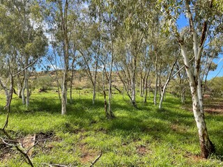 Obraz premium A watering hole in the Australian Outback