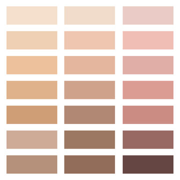 Skin color palette. human skin tones. Vector illustration. Stock image. 