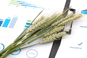 Food security when wheat is ripe