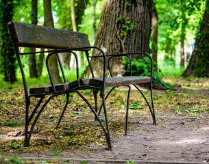 ławka w parku pośrodku drzew, zielony klimat zachodnia polska