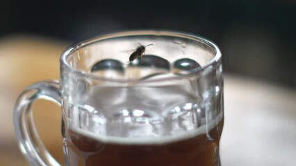 slow motion clip of a honey bee fling out of a beer mug