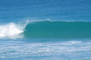 Surfing small waves in the metro area