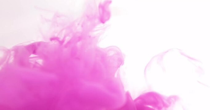 Pink Paint Splat design template abstract. Paint color splash background. Color drop in water. Overlay effect, Colour design element.
