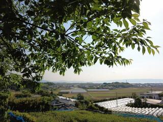 とある公園からの眺め