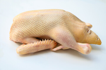 Raw duck on grey  white background, Fresh duck meat for food, Whole duck on plate