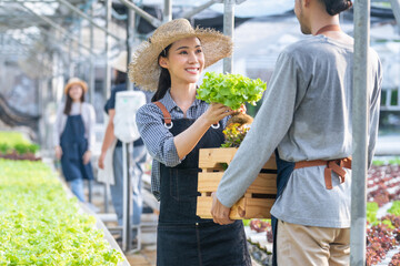 Naklejka premium Asian couple farmers work in vegetables hydroponic farm with happiness