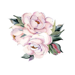 Watercolor bouquet spring pink flower vector