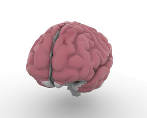 	anatomy, brain, cartoon, cerebellum, clever, comics drawing, human, idea, illustration, internal, isolated, medical, medicine, mind, nobody, on white, organ, part of, science, smart, smart objects, s