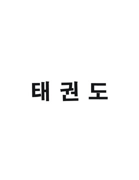 Taekwondo Written in Korean Hangul (Horizontal Bold)
