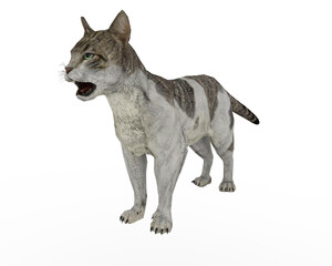 	3d, 3d glasses, anaglyph, animal, animals, avatar, cartoon, cat, cat head, characters, comic, cool, cute, fun, fur, muzzle, orange, person, pet, print ready, shiny, smile, stereo effect, stereo pair,