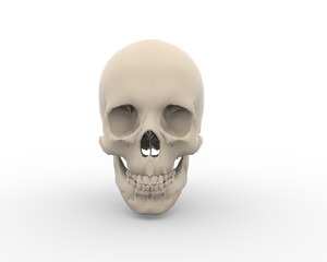 	anatomy, art, background, black, bone, danger, dead, death, design, evil, fear, graphic, grunge, halloween, hand drawn, head, horror, human, illustration, isolated, outline, sign, skeleton, sketch, s