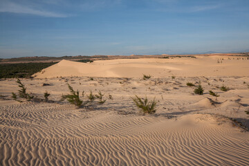 Fototapeta na wymiar White Sand Dune, Desert in Mui Ne, Vietnam