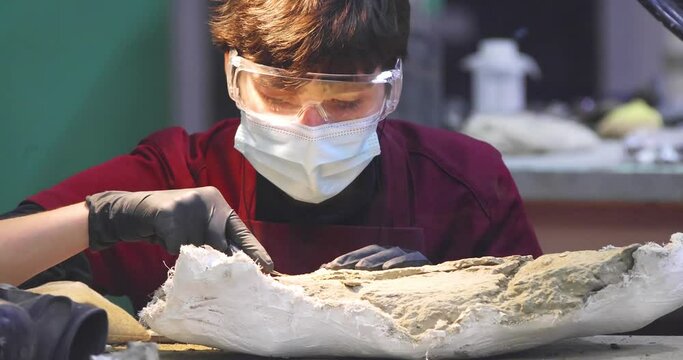 A paleontologist removing a fosil from the rock matrix wearing face mask and eye protection.