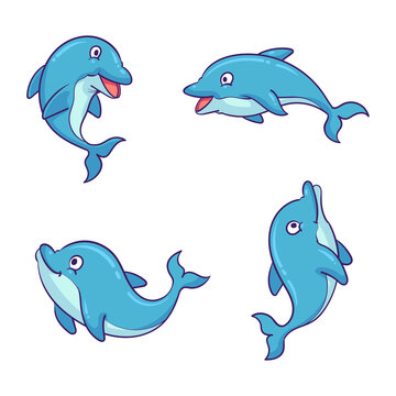 hand drawn dolphin collection 1