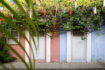 flowers on the wall - Cartagena, Colombia