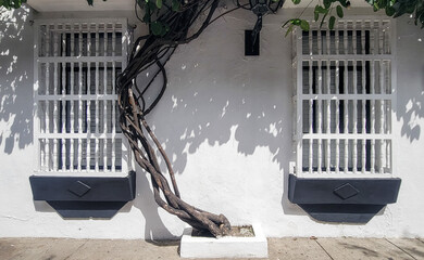 window on the wall - Cartagena, Colombia