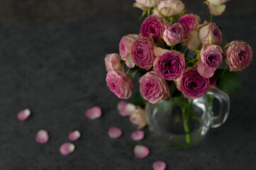 ピンクのバラ　黒背景