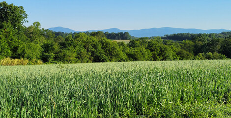 Springtime field with mountains, blue and green countryside, countryside with blue ridge mountains in background