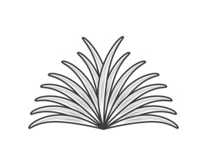 plant leaves botanical