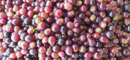 Bunch of wet organic fresh red and purple grapes fruit with water drops stacked together on market after harvesting for making wine beautiful wallpaper background. close up macro top view.