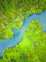 Aerial landscape of winding clear blue river in green field, top view of beautiful nature background from drone, seasonal summer landscape with copy space