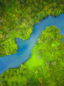 Aerial landscape of winding clear blue river in green field, top view of beautiful nature background from drone, seasonal summer landscape with copy space © nguyen khanh vukhoa