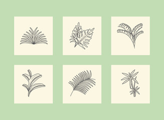 Fototapeta na wymiar icons branches botanical