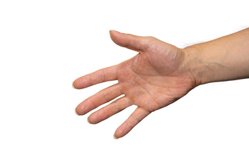 握手を求める手