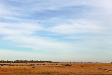 Obraz premium landscape with sky and clouds