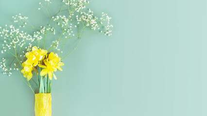Holiday, flower banner with yellow narcissus and gypsophila on blue background with copy space....