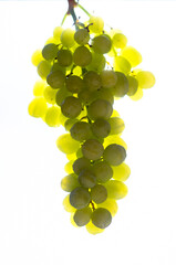 bunch of grapes